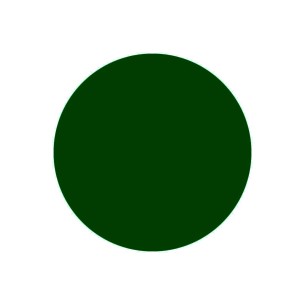 FILI MOD. CINIGLIA VERDE S.CM 30 20P