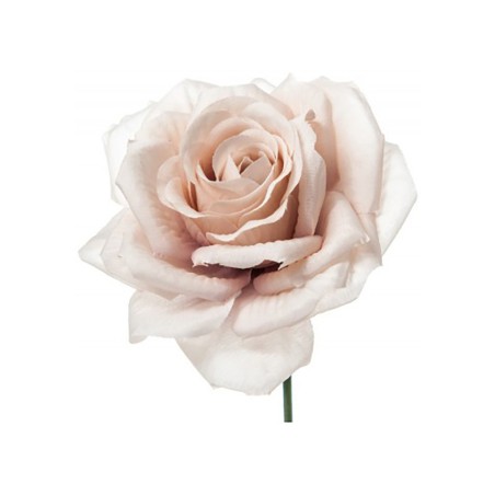 BOX 12 PICS ROSA GOLD CM 15