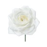 BOX 12 PZ. ROSE BIANCHE CM 15