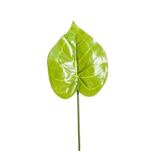 Foglia Anthurium cm 52