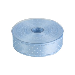 NASTRO RASO POIS CELESTE MM 25X25 MT