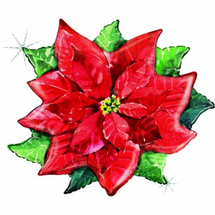 Watercolor Poinsettia glit. cm 69x59