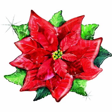 Watercolor Poinsettia glit. cm 69x59