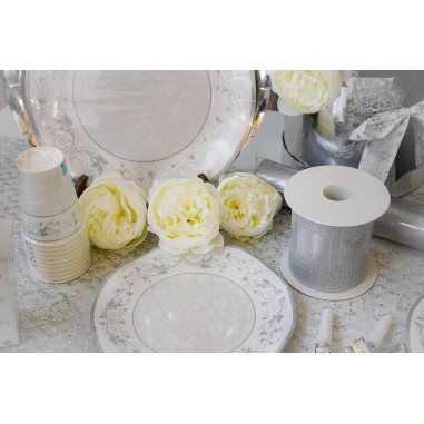 NASTRO GARZA LAME' ARGENTO MM 98X20 MT