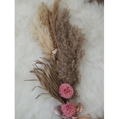 PAMPA NATURALE COL. NATURALE H65/75...