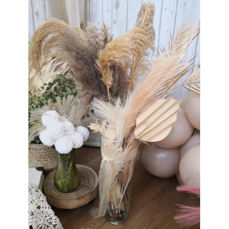 PAMPA NATURALE AVORIO H65/75 (6 PZ)