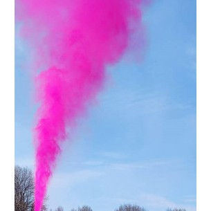 Mini estintore gender reveal bimba in polvere colore rosa... 2