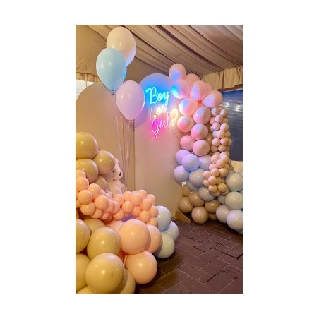 Scritta Luminosa Boy or Girl?