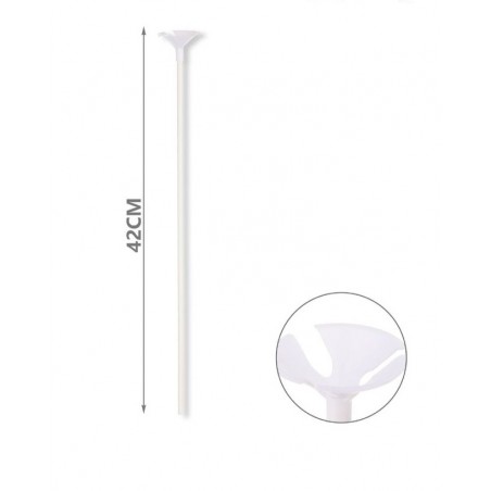 STECCHE E VALVOLE BS 12  PZ- CM 42