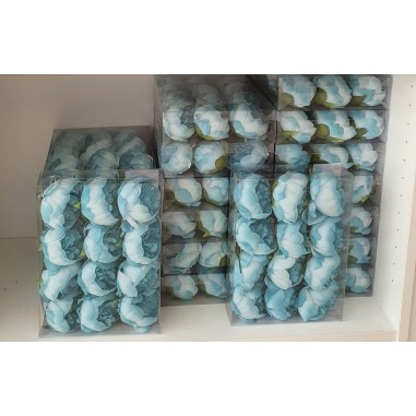 Box 12 pz. peonia celeste