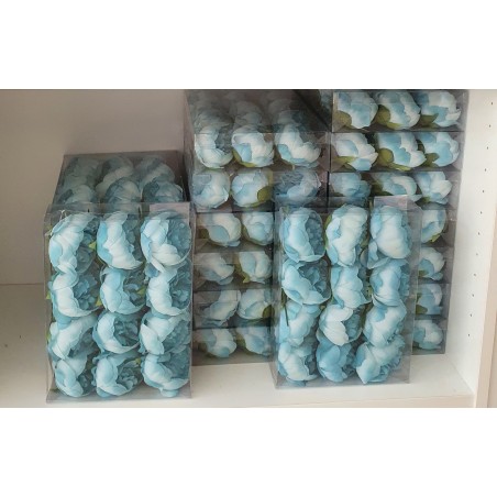 Box 12 pz. peonia celeste